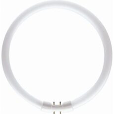 FLUO CIJEV TL5 CIRCULAR 22W/840 PHILIPS