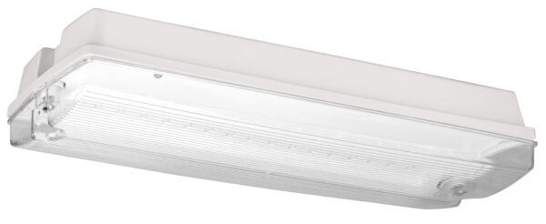 SIG.SVJETILJKA K5 LED, 3H, 230VAC,UNIVERZALNA MONT. 130 LM